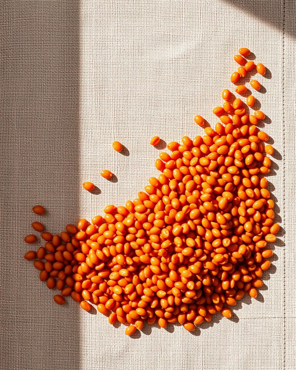 Red Lentils